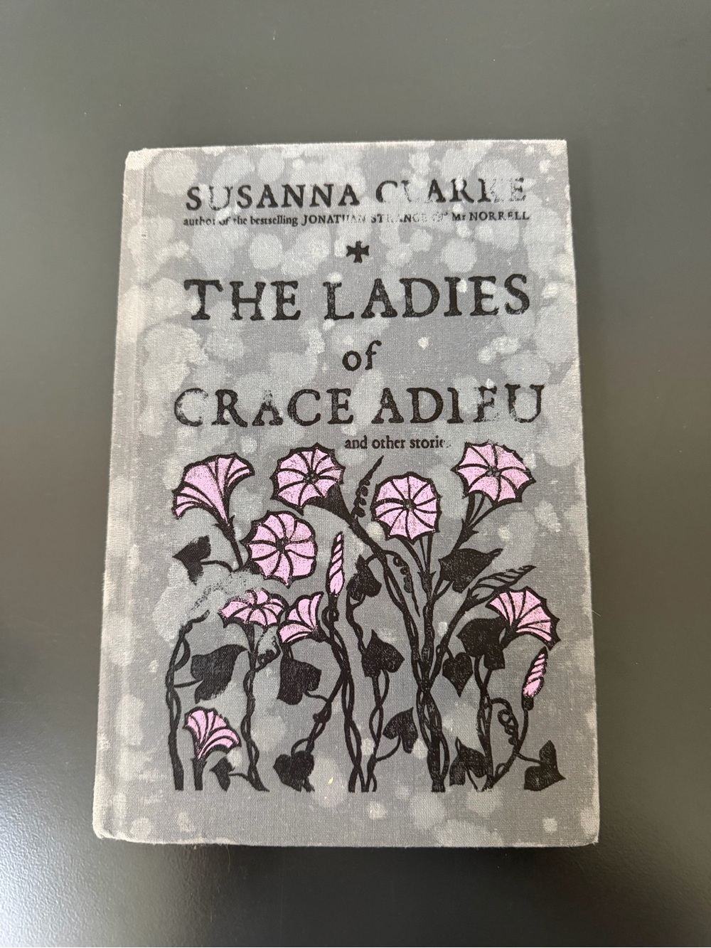 Ladies of Grace Adieu and Other Stories by Susanna Clarke (2006, Hardcover) FS